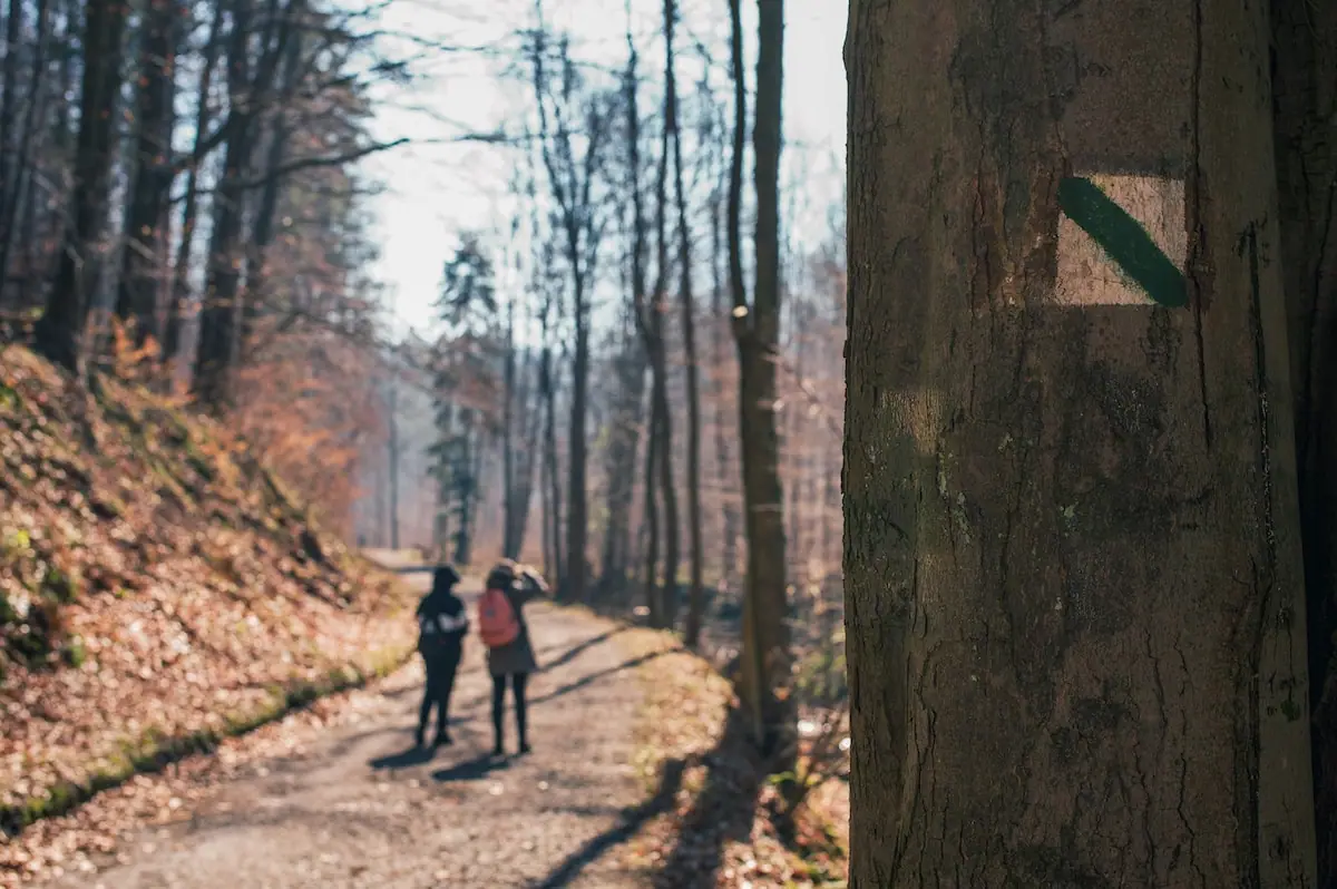 najciekawsze-trasy-dla-milosnikow-trekkingu-w-polsce
