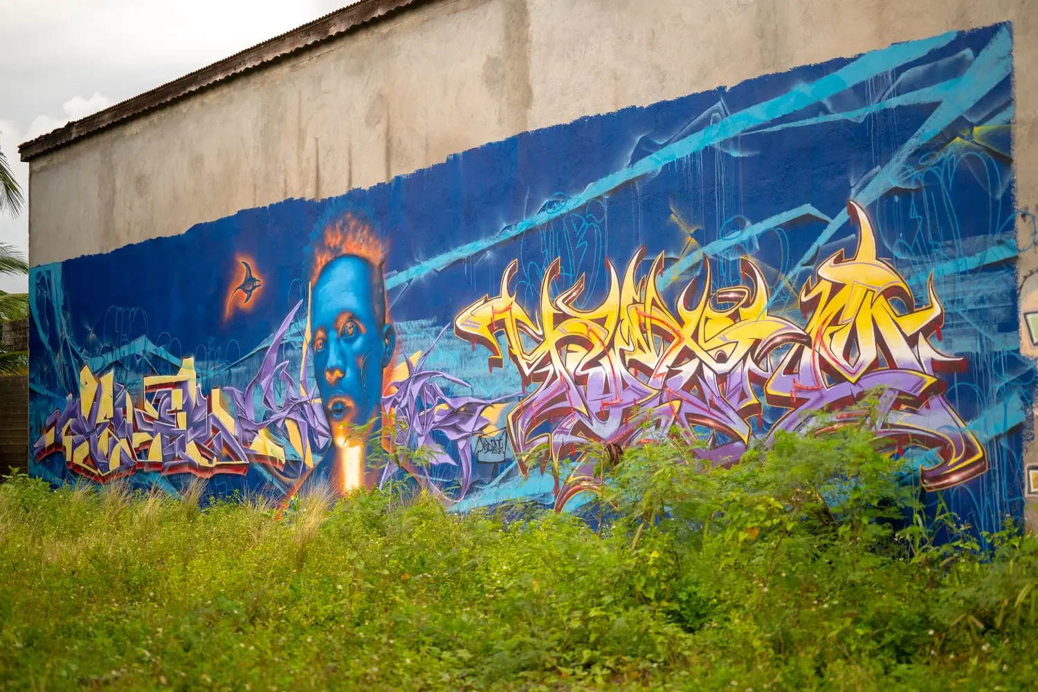 Polski street art: Przewodnik po sztuce ulicznej
