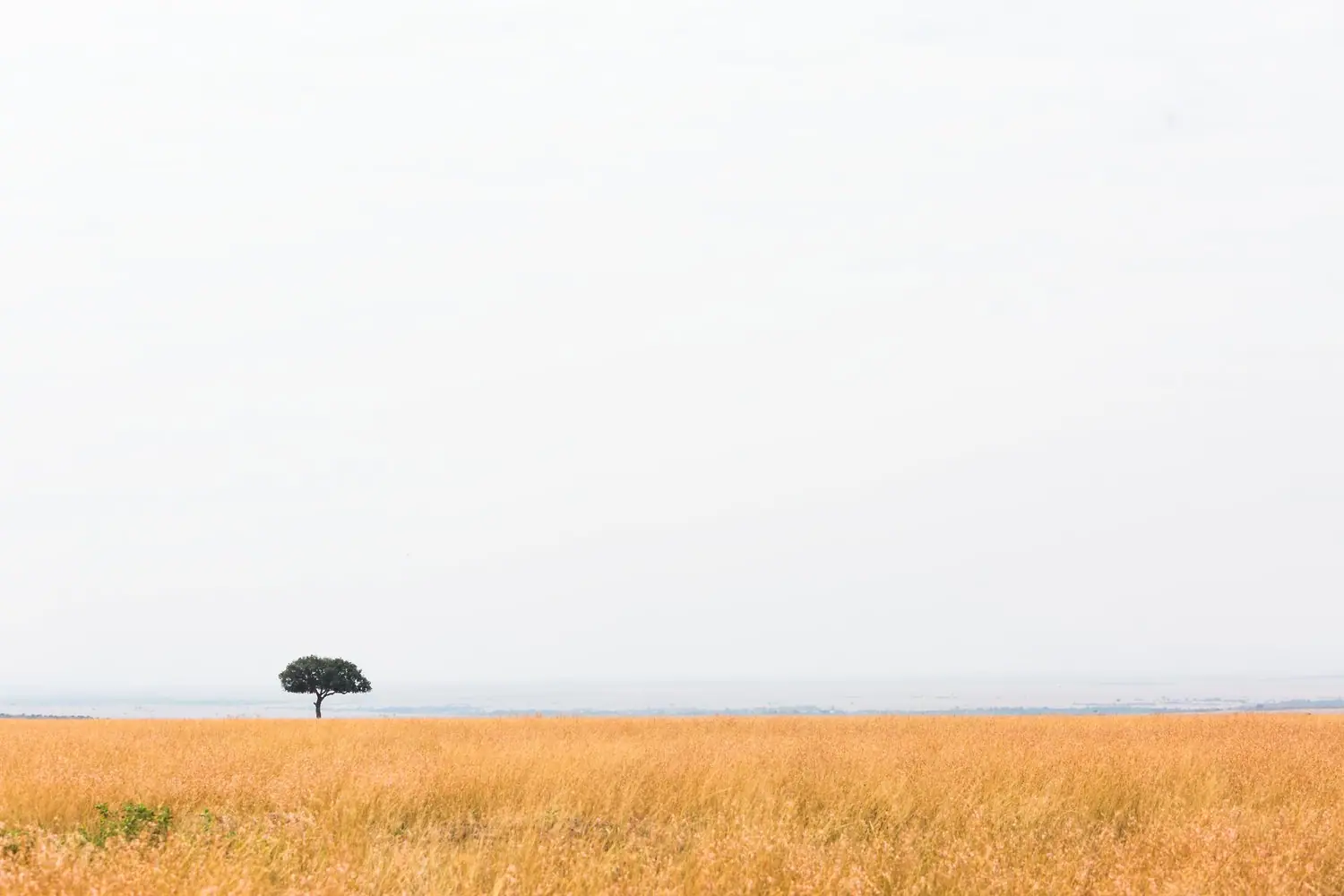 Fotografia minimalistyczna: Najlepsze lokalizacje w Polsce