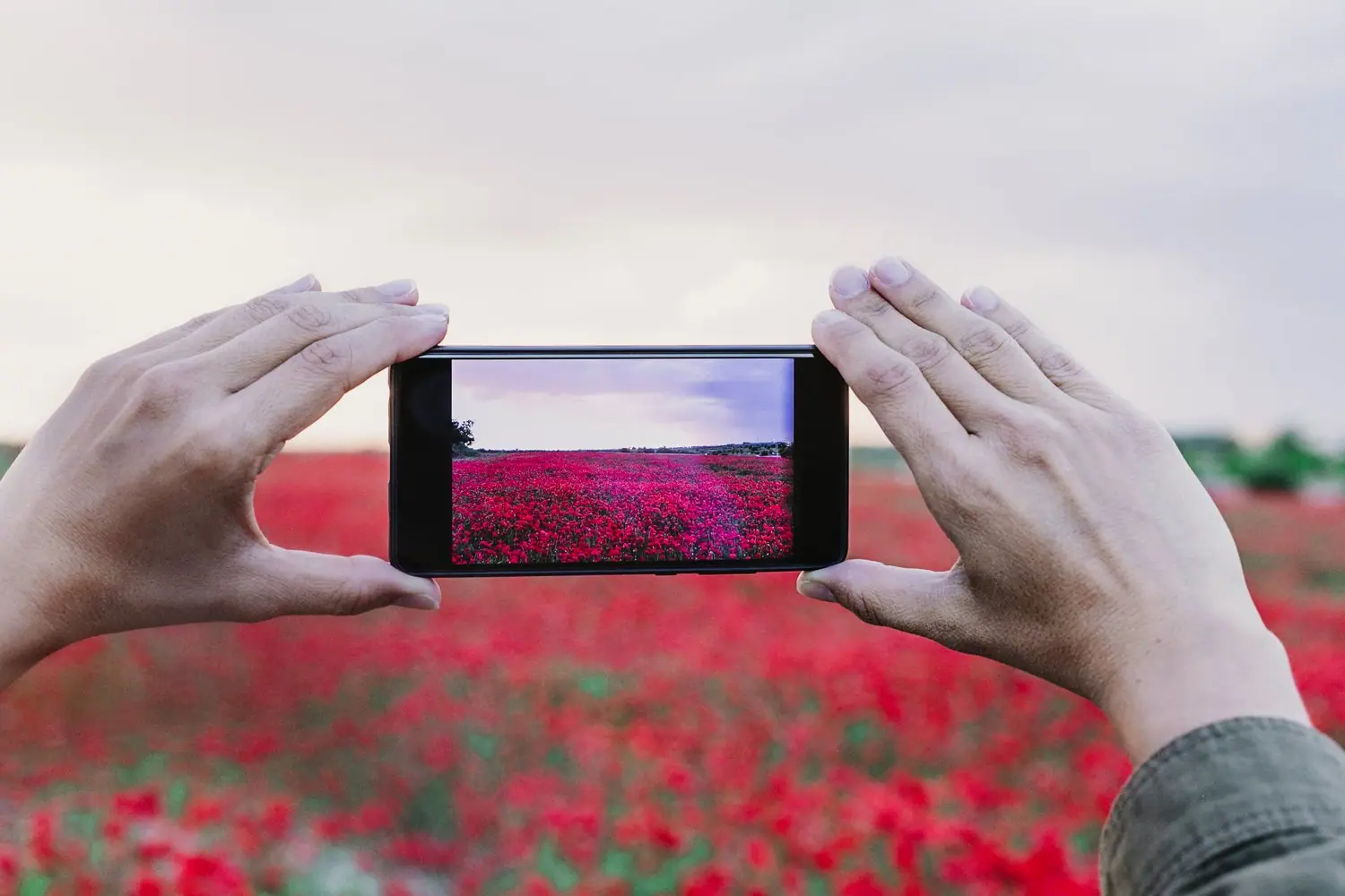 Fotografia telefonem: jak maksymalnie wykorzystać możliwości smartfona