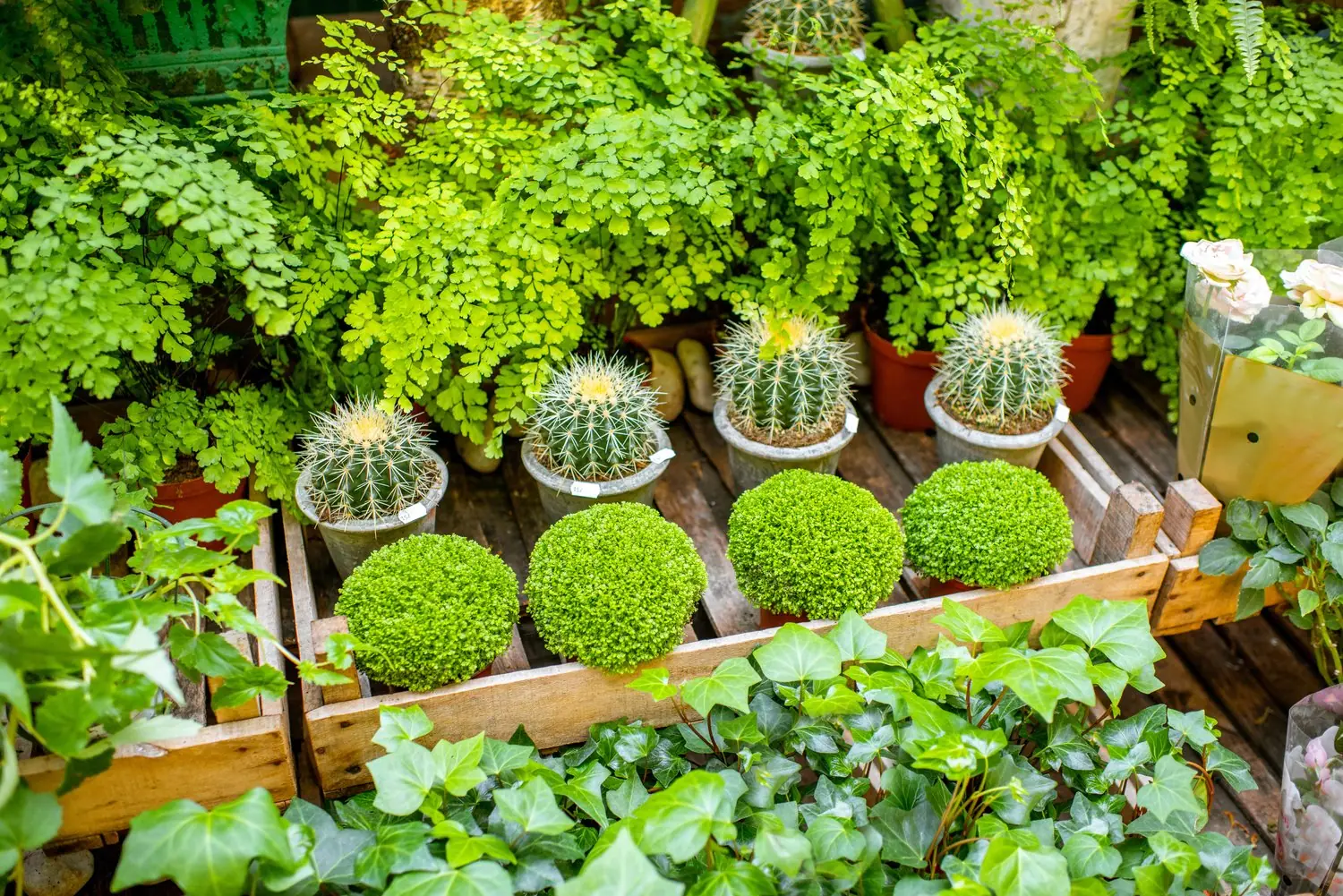 Inspirujące pomysły na zagospodarowanie niewielkiego ogrodu